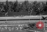 Image of War Admiral Miami Florida USA, 1938, second 31 stock footage video 65675069223