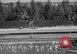 Image of War Admiral Miami Florida USA, 1938, second 32 stock footage video 65675069223