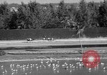 Image of War Admiral Miami Florida USA, 1938, second 33 stock footage video 65675069223