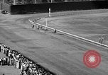 Image of War Admiral Miami Florida USA, 1938, second 43 stock footage video 65675069223