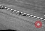 Image of War Admiral Miami Florida USA, 1938, second 52 stock footage video 65675069223