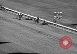 Image of War Admiral Miami Florida USA, 1938, second 53 stock footage video 65675069223