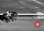 Image of War Admiral Miami Florida USA, 1938, second 61 stock footage video 65675069223