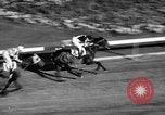 Image of War Admiral Miami Florida USA, 1938, second 62 stock footage video 65675069223