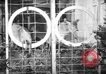 Image of Outdoorsman sports show New York United States USA, 1938, second 38 stock footage video 65675069226