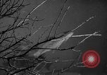 Image of Outdoorsman sports show New York United States USA, 1938, second 49 stock footage video 65675069226