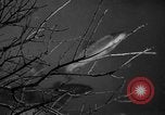 Image of Outdoorsman sports show New York United States USA, 1938, second 50 stock footage video 65675069226