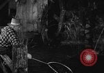 Image of Outdoorsman sports show New York United States USA, 1938, second 54 stock footage video 65675069226