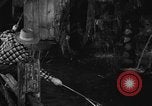 Image of Outdoorsman sports show New York United States USA, 1938, second 55 stock footage video 65675069226