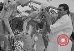 Image of Models and their mud packs Miami Beach Florida USA, 1938, second 31 stock footage video 65675069227