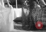 Image of Models and their mud packs Miami Beach Florida USA, 1938, second 52 stock footage video 65675069227