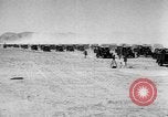 Immagine di Italia Nord forze africane Libia, 1938, secondo 10 filmato di repertorio 65675069231