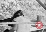 Standbild Joe Louis schießen und Boxen Pompton Lakes New Jersey USA, 1938, aus Sekunde 22 historischem Filmmaterial Videoclip 65675069238