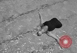 Standbild Olympischen Taucher Los Angeles California USA, 1938, aus Sekunde 19 historischem Filmmaterial Videoclip 65675069239