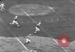 Standbild American-Football-Spiel Baltimore Maryland USA, 1963, aus Sekunde 16 historischem Filmmaterial Videoclip 65675069243