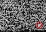 Immagine di Partita di calcio United States USA, 1961, secondo 8 filmato di repertorio 65675069252