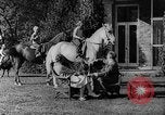 Image of Franklin D Roosevelt reelected for second term as President United States USA, 1936, second 22 stock footage video 65675069260