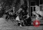 Image of Franklin D Roosevelt reelected for second term as President United States USA, 1936, second 26 stock footage video 65675069260