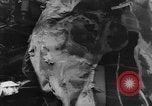 Image of collision of two trains Germany, 1961, second 12 stock footage video 65675069264
