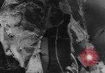 Image of collision of two trains Germany, 1961, second 13 stock footage video 65675069264