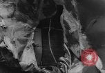 Image of collision of two trains Germany, 1961, second 14 stock footage video 65675069264