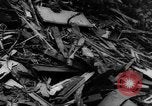 Image of collision of two trains Germany, 1961, second 23 stock footage video 65675069264