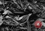 Image of collision of two trains Germany, 1961, second 24 stock footage video 65675069264