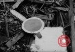 Image of collision of two trains Germany, 1961, second 27 stock footage video 65675069264