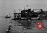 Image of sturgeon fish Russia, 1961, second 6 stock footage video 65675069265