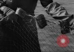 Image of sturgeon fish Russia, 1961, second 8 stock footage video 65675069265