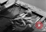 Image of sturgeon fish Russia, 1961, second 16 stock footage video 65675069265