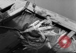Image of sturgeon fish Russia, 1961, second 17 stock footage video 65675069265