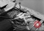 Image of sturgeon fish Russia, 1961, second 18 stock footage video 65675069265