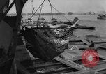 Image of sturgeon fish Russia, 1961, second 24 stock footage video 65675069265