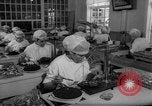 Image of sturgeon fish Russia, 1961, second 29 stock footage video 65675069265