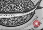 Image of sturgeon fish Russia, 1961, second 43 stock footage video 65675069265