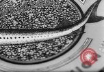 Image of sturgeon fish Russia, 1961, second 44 stock footage video 65675069265