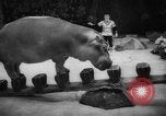 Image of a circus Russia, 1961, second 32 stock footage video 65675069267