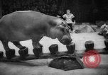 Image of a circus Russia, 1961, second 33 stock footage video 65675069267