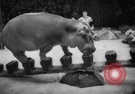 Image of a circus Russia, 1961, second 34 stock footage video 65675069267