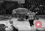 Image of a circus Russia, 1961, second 35 stock footage video 65675069267