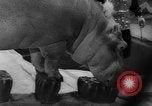 Image of a circus Russia, 1961, second 43 stock footage video 65675069267
