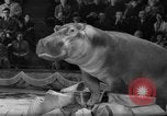 Image of a circus Russia, 1961, second 48 stock footage video 65675069267