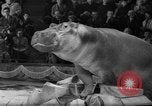 Image of a circus Russia, 1961, second 49 stock footage video 65675069267