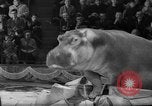 Image of a circus Russia, 1961, second 50 stock footage video 65675069267