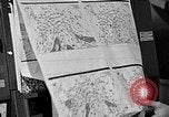 Image of NASA study of tornadoes United States USA, 1969, second 50 stock footage video 65675069279