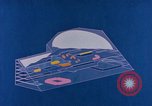 Image of Spacetrack Radar Florida United States USA, 1965, second 32 stock footage video 65675069285