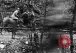 Immagine di Eleanor Roosevelt attività dal 1933 attraverso la seconda guerra mondiale United States USA, 1939, secondo 44 filmato di repertorio 65675069297