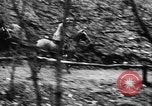 Immagine di Eleanor Roosevelt attività dal 1933 attraverso la seconda guerra mondiale United States USA, 1939, secondo 45 filmato di repertorio 65675069297