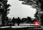 Immagine di Tedesco e aerei italiani La Valletta Malta, 1943, secondo 3 filmato di repertorio 65675069303